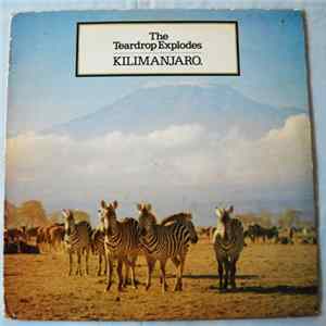 The Teardrop Explodes - Kilimanjaro FLAC album