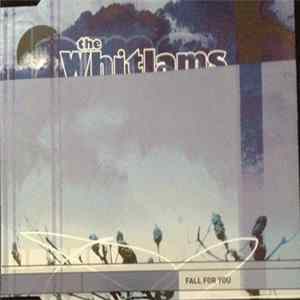 The Whitlams - Fall For You FLAC album