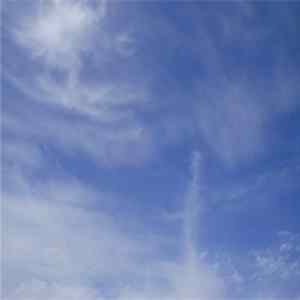Michael Pisaro - Jez Riley French - Only [Harmony Series #17] FLAC album