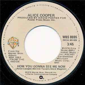 Alice Cooper - How You Gonna See Me Now FLAC album