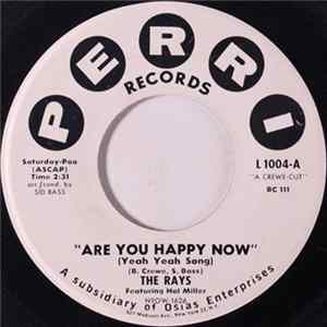 The Rays Featuring Hal Miller - Are You Happy Now (Yeah Yeah Song) / Bright Brown Eyes FLAC album