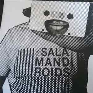 Salamandroids - Mixtape For Dance Fans FLAC album