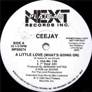 Ceejay - A Little Love (What's Going On) FLAC album
