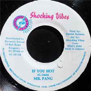 Mr. Pang - If You Hot FLAC album