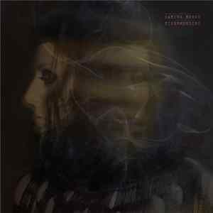 Carina Round - Tigermending FLAC album
