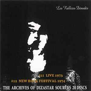 Les Rallizes Denudes - The Archives Of Dizastar Sources Vol.6 FLAC album