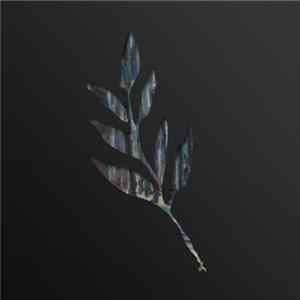 The Album Leaf - An Orchestrated Rise To Fall FLAC album