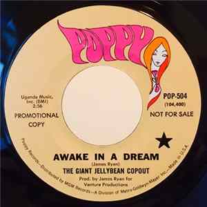The Giant Jellybean Copout - Awake In A Dream FLAC album