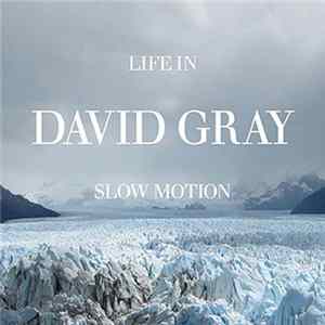 David Gray - Life In Slow Motion FLAC album