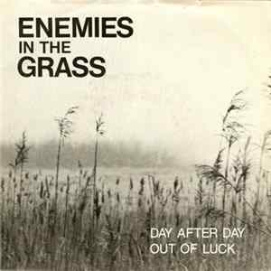 Enemies In The Grass - Day After Day / Out Of Luck FLAC album