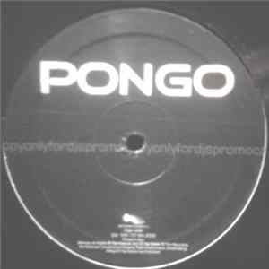 Giorgio Prezioso & Libe - Pongo FLAC album
