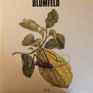 Blumfeld - Tics FLAC album