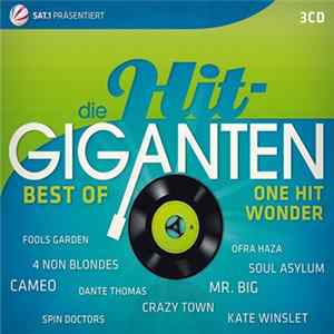 Various - Die Hit-Giganten - Best Of One Hit Wonder FLAC album