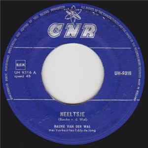Bauke Van Der Wal - Neeltsje FLAC album