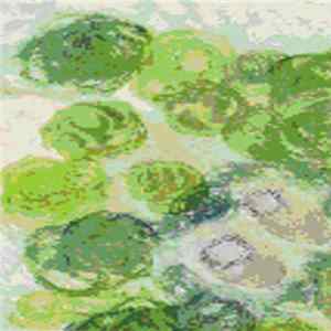 Jessica Rylan - Lush Life FLAC album