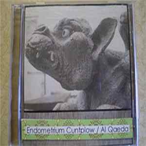 Endometrium Cuntplow / Al Qaeda - Split Part I Of III FLAC album