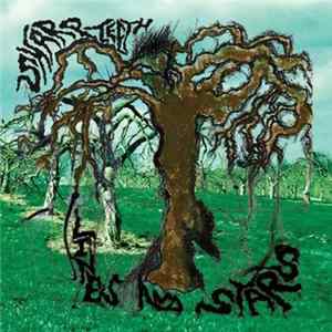 Sharp Teeth - Lines And Stars FLAC album
