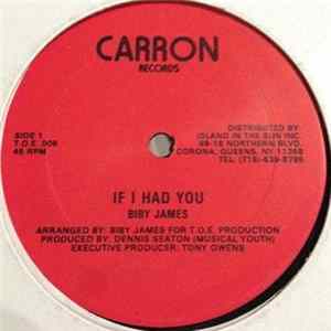 Biby James - If I Had You FLAC album