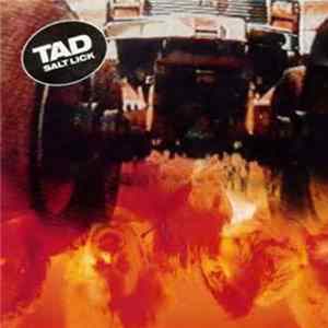 Tad - SALT LICK FLAC album