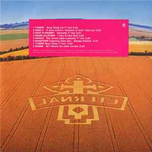 Various - Eternal Sounds Of Summer Sampler FLAC album