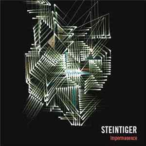 Steintiger - Impermanence FLAC album