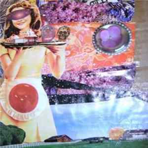 Fluorescent Vibes - Shaded Inconsistent FLAC album