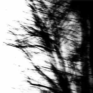 Asthenia , Wither - Split FLAC album