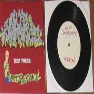 Gut Instinct - Disturbing The Peace FLAC album
