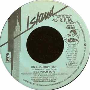 n.y.c. Peech Boys - On A Journey FLAC album