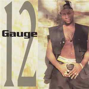 12 Gauge - 12 Gauge FLAC album