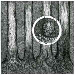 Left Astray - Confines FLAC album