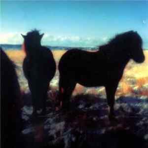 Various - Atrium A Sampler - Other Music From A Northern Place FLAC album