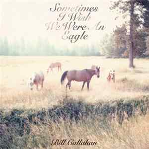 Bill Callahan - Sometimes I Wish We Were An Eagle FLAC album