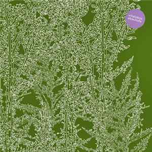 Ricardo Villalobos - Alcachofa FLAC album