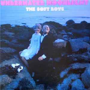 The Soft Boys - Underwater Moonlight FLAC album