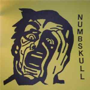 Numbskull - Final Days Of Torture FLAC album