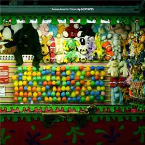Mixtapes - Somewhere In Trinsic FLAC album