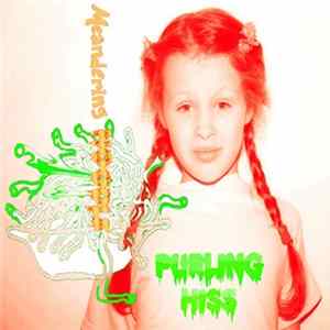 Purling Hiss - Meandering Noodle FLAC album