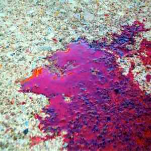 Resting Cell - Acid Bleeder FLAC album