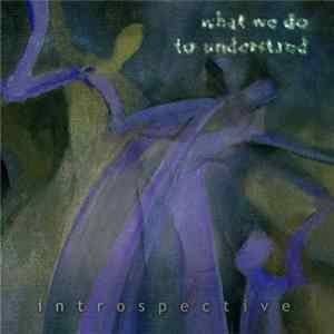 Introspective - What We Do To Understand FLAC album