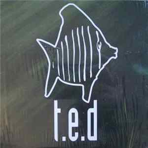 T.E.D - T.E.D FLAC album