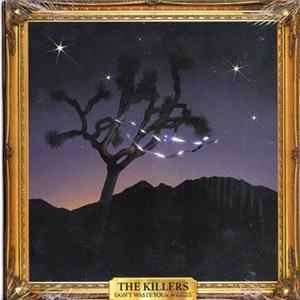 The Killers - Don't Waste Your Wishes FLAC album