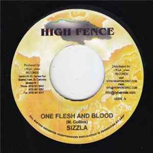 Sizzla / Renegade - One Flesh And Blood / Lost A Lot Of Friends FLAC album