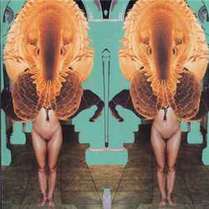 Raw Experience - Vol.I FLAC album