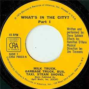 Steve Sahlein - What's In The City? FLAC album