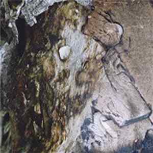 Mick Barr / Ocrilim - Strings/Through - Chamber Music For Electric Guitar Volume 1 FLAC album