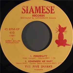 The Five Sharks - Possibility FLAC album