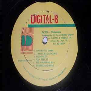 Dirtsman - Acid FLAC album
