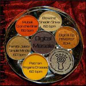 Various - Digital Masala FLAC album