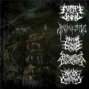 Putrefy The Living, Anomalistic, Human Carcass Crop Circle, Perverted Dexterity, Human Decomposition - Rotten Bowels: 5-Way Split FLAC album
